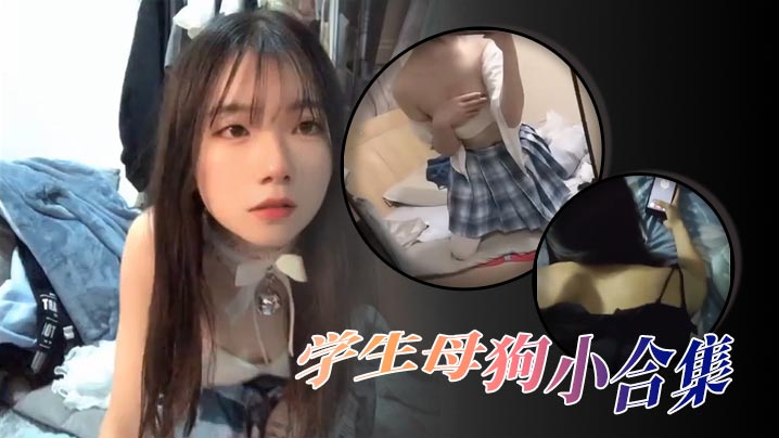 精选合集高颜值学生母狗小合集的